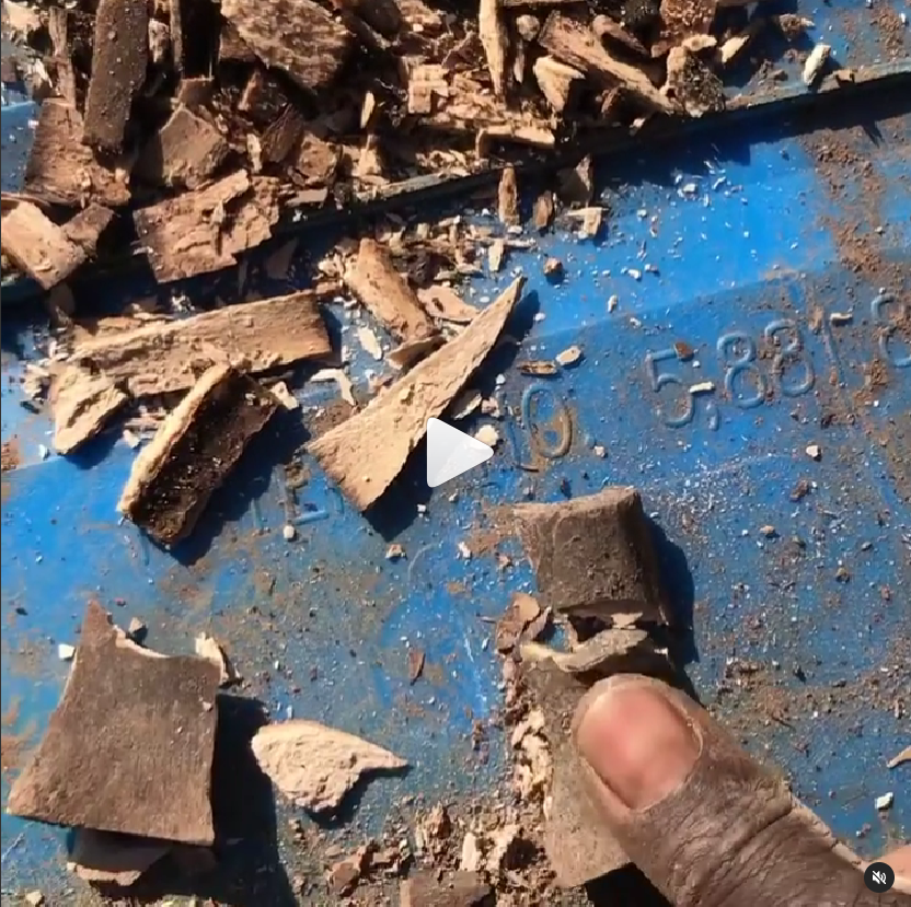 You are currently viewing Bokashi Fermented and Composted Bones